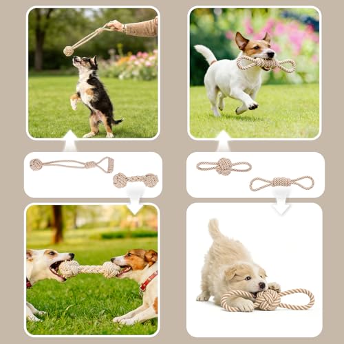 Dog Rope Toy for Small Dog 5pcs (5pcs)