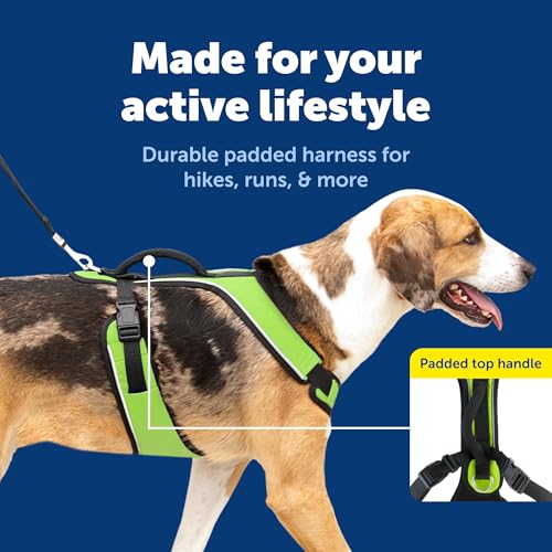 EasySport Dog Harness (Large / Apple Green)