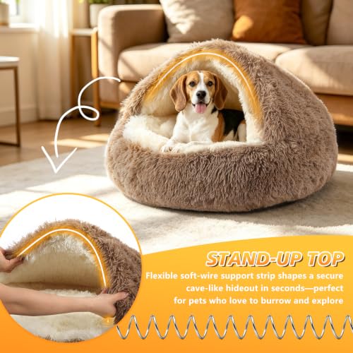 Hooded Donut Bed (Brown / Small 19.6'')