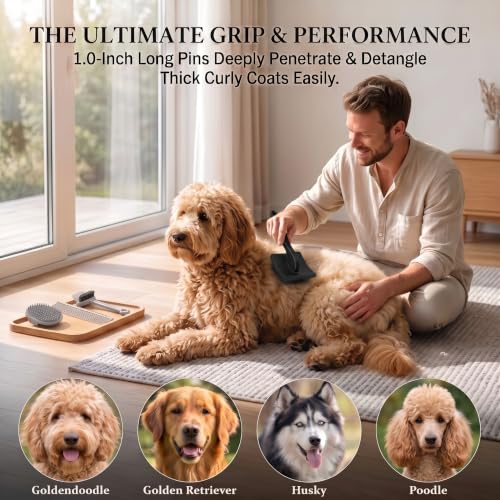 Slicker Brush for Dogs Grooming Kit with Cleaning Rake Tool 4PCS (Black)