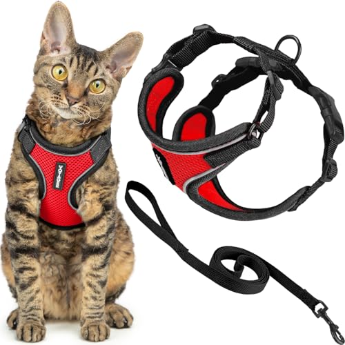 Voyager Escape (Black Trim-Red (327) / S (Chest: 15 - 18"))