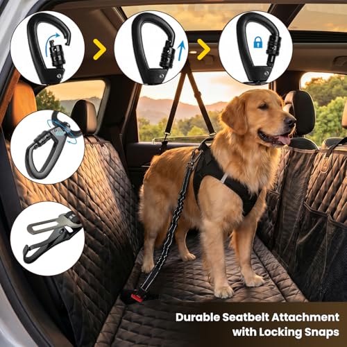 Dog Seat Belt for Car (Black / 21.6"-32")