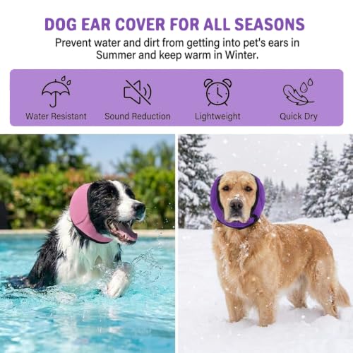 No Flap Ear Wraps for Dogs (Purple / M)