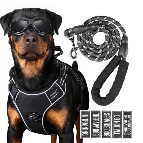 Dog Harness and Leash Set for Medium Dogs (Black / M)