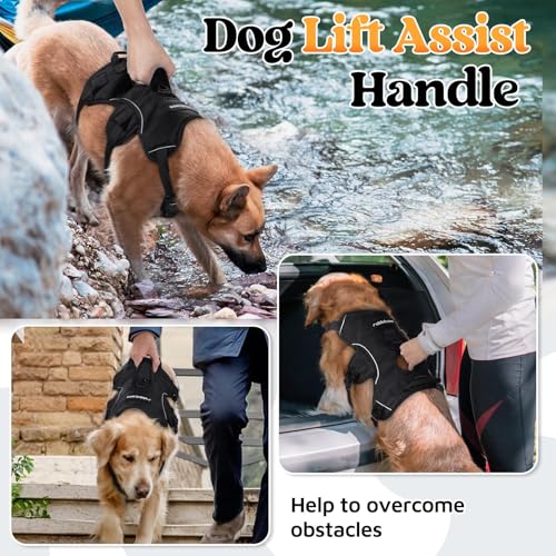 Escape Proof Dog Harness for X (Black / X-Large)
