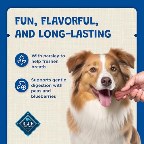 Small Dental Bones (12 Ounce (Pack of 1))
