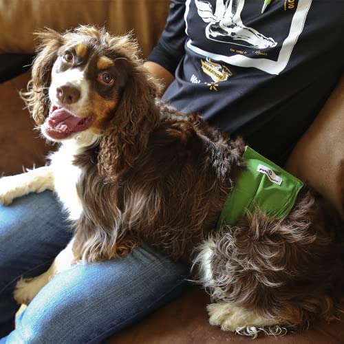 Washable Belly Bands for Male Dogs (Small (13-16") / Gentlemen)