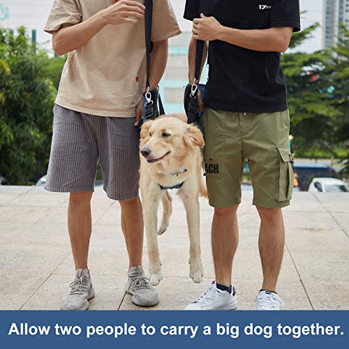 Dog Carry Sling (XX-Large / Blue)