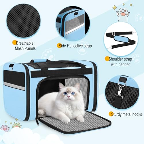 Large Cat Carrier Travel Soft Sided Pet Carrier Airline Approved (Light Blue)