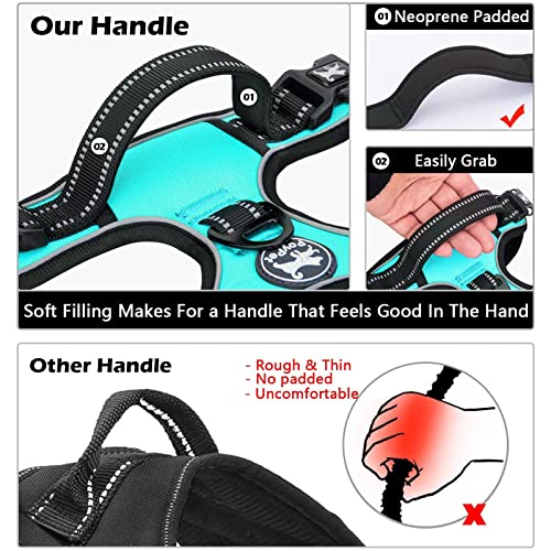 No Pull Dog Harness Large with Front Clip & Neck Release Buckle (XL / Mint Blue)