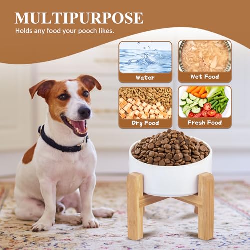 Ceramic Elevated Dog Bowl with Bamboo Stand (Medium / Yellow)