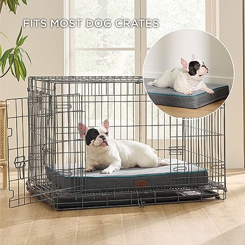 Memory Foam Small Dog Bed (24"L x 16"W x 3"Th / Grey)