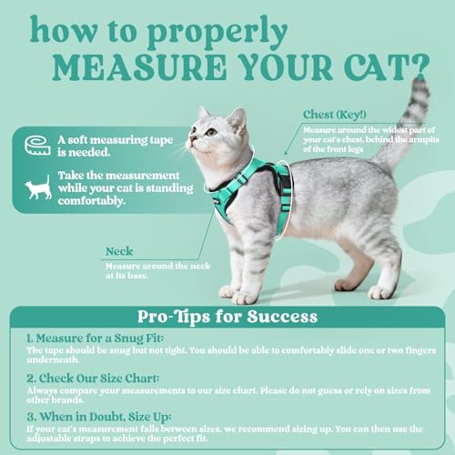 Cat Harness and Leash Set (S / Emerald)