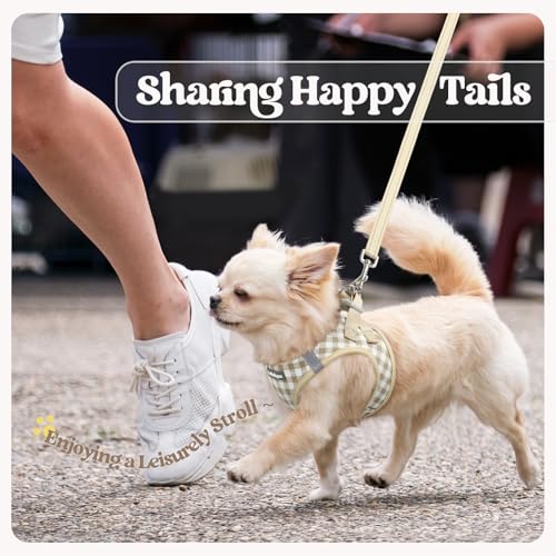 Dog Harness Small Sized and Leash Set (Beige Check / S (chest: 15.1 - 16.5"))