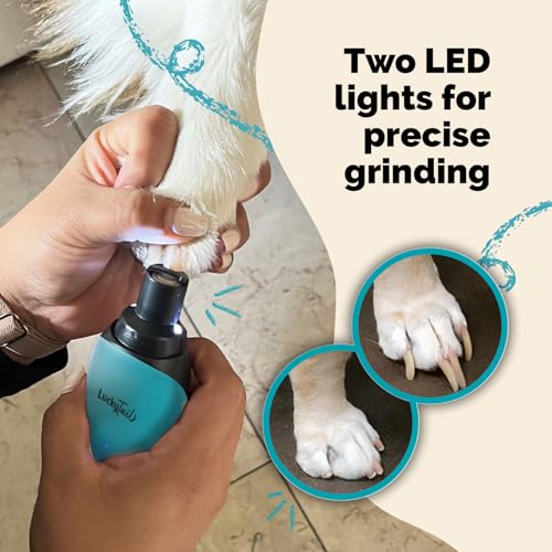 Pet Nail Grinder for Dogs and Cats (Teal)