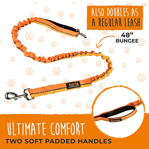 Hands Free Dog Leash (48" / Orange)