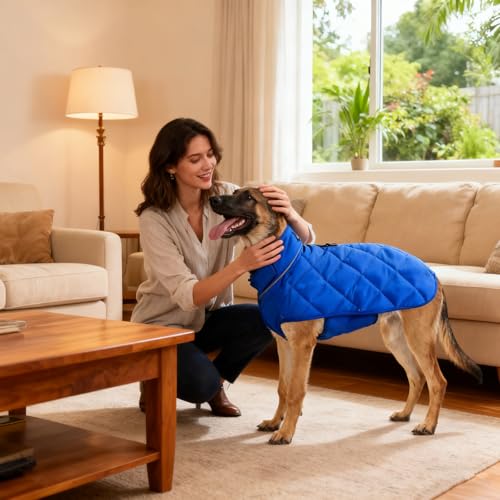 Weighted Dog Vest (Blue / Small)