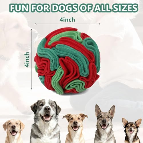 Snuffle Ball for Dogs (Red & Green / Small)