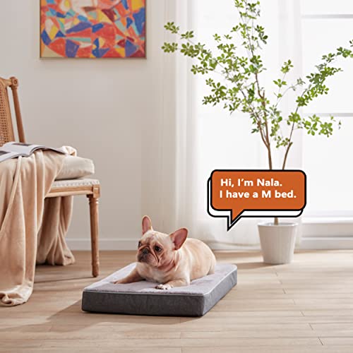 Medium Dog Beds for Medium Dogs (Purple Grey / Medium-29"x 18" x 3")