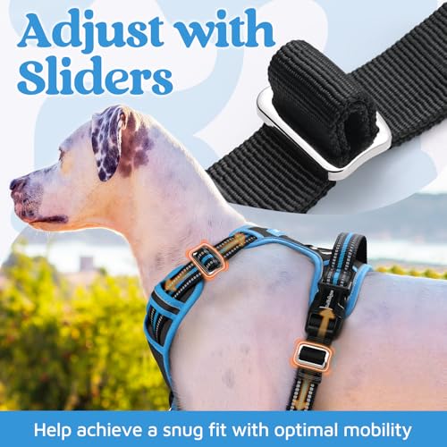 Dog Harness Medium Sized (Black & Blue / Medium)