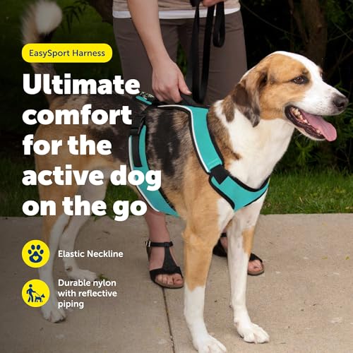EasySport Dog Harness (Small / Teal)