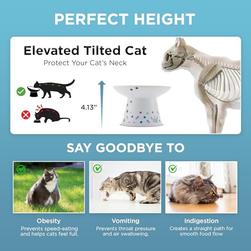 Necoichi Ceramic Raised Cat Food Bowl (Colorful Dots / Large Extra Wide)