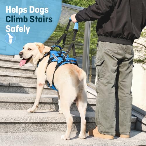 Dog Lift Harness for Medium Dogs (Blue / Medium)