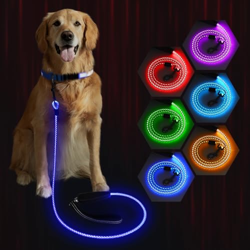 Light Up Dog Leash (Colorful / 5 feet)