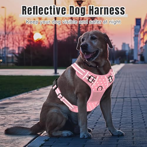 No Pull Dog Harness (Pink Hearts / X-Small)