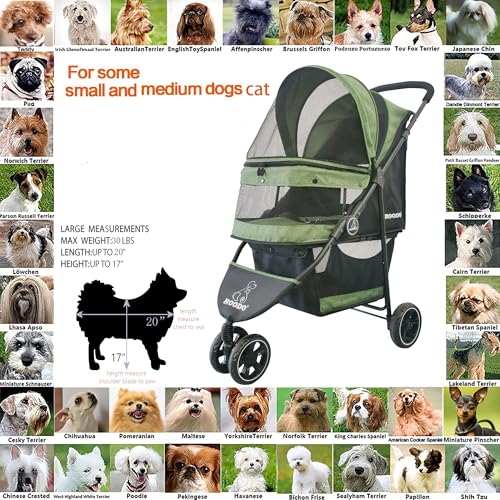 3 Wheel Pet Stroller Best Lightweight Foldable Compact Portable Jogger All Terrain Travel Pet Gear Puppy Kitty Stroller for up to 30lbs Medium Small Dogs and Cats (Cationic Green)