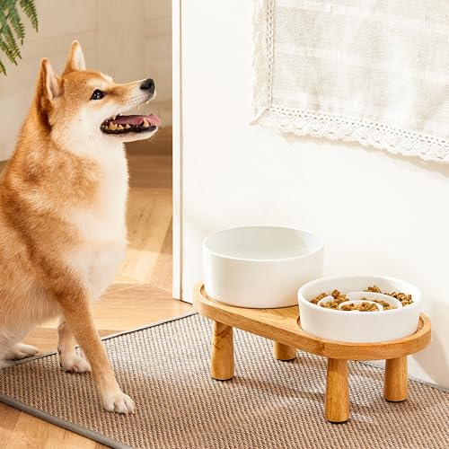 Ceramic Slow Feeder and Water Bowl Set for Small Dogs (White / 6" D)