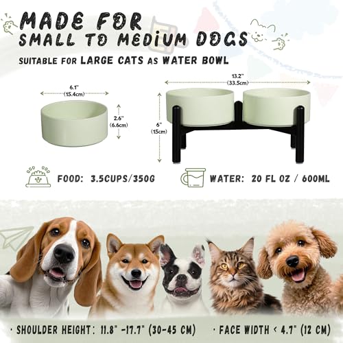 Ceramic Elevated Dog Bowl Set (Green / 3.5 Cups)