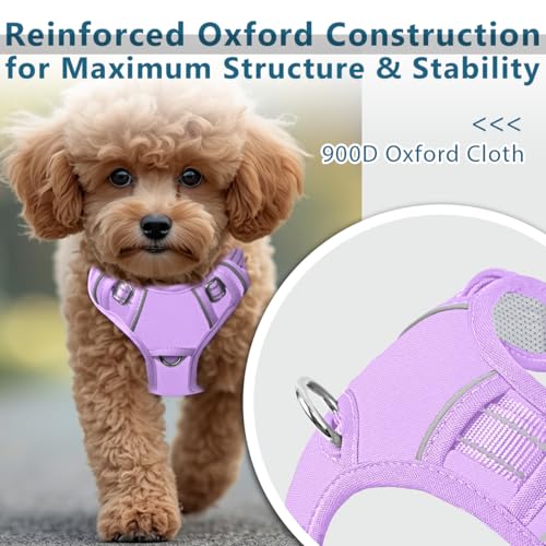 No Pull Dog Harness for Small Sized Dogs (X-Small(Chest:15.5-19.5”) / Violet Purple-Oxford)