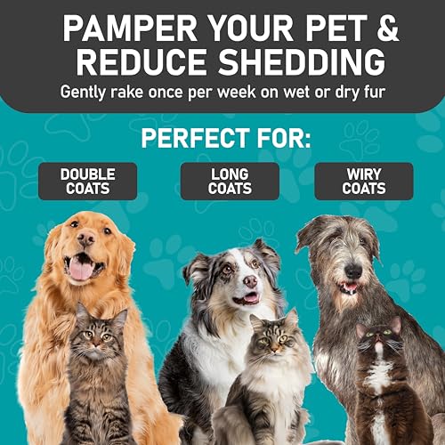 Pet Grooming Brush (Purple / L)