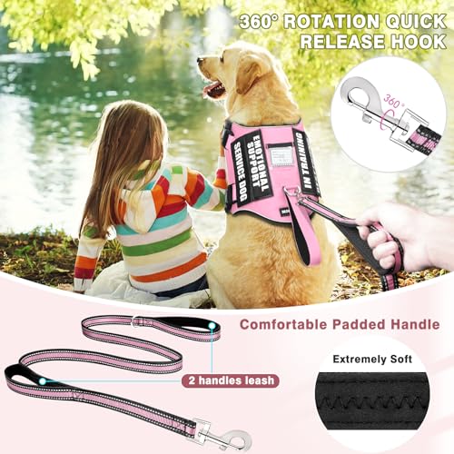 Service Dog Vest Harness and Leash Set+10 Patches (Medium / Pink)
