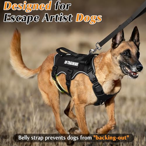 Escape Proof Dog Harness with Double Handle+4 Removable Patches (X-Large / Black)