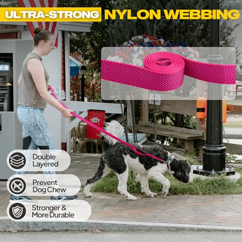 10 FT Heavy Duty Dog Leash (10 Feet (Pack of 1) / Rose)