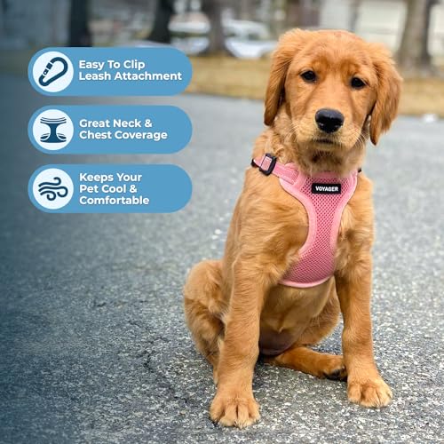 Voyager Adjustable Step (Harness Leash Set (Pink) / M)