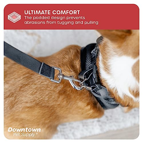 Step in Dog Harness (XX-Small / Charcoal)