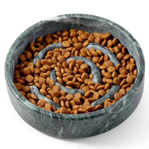 Marble Slow Feeder Dog Bowl (Verde Alpi)