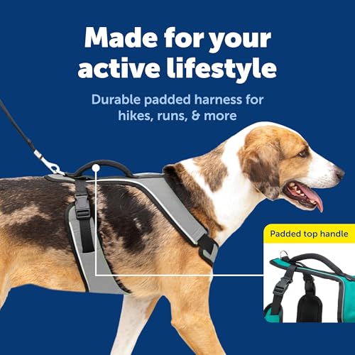 EasySport Dog Harness (Large / Charcoal)