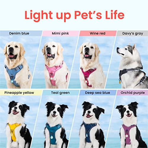 No Pull Dog Harness with Pet ID Tag (L (Chest: 27"-32" ) / Deep Sea Blue)