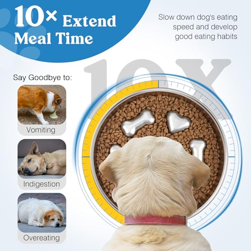 2Pcs Slow Feeder Dog Bowls (5 Cups / Silver/2 Pack)