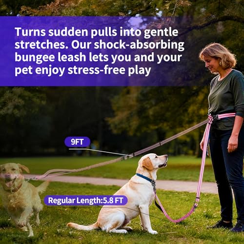 Hands Free Dog Leash by Kazazoo (PINK Bungee / M)