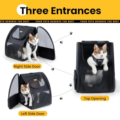 Cat Backpack Carrier for Small Dogs and Cats Fit Up to 15 Lbs (Black)