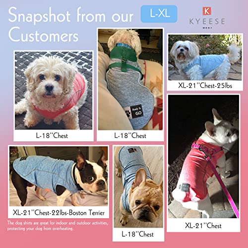 2Pack Reflective Dog Shirt (X-Large (18-30lbs) / 7# 2Pack (Lake Blue+Blue))