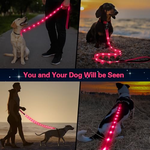 Light Up Dog Leash (Pink)