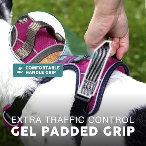 Embark No Pull Dog Harness (L / Pink)