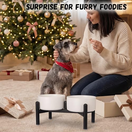 Raised Ceramic Dog Bowl Set with Stand (White / 2 Bowls - 3.5 Cups Each)