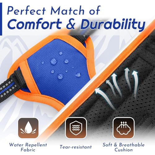 Dog Harness for Small Dogs (X-Small / Blue & Orange)